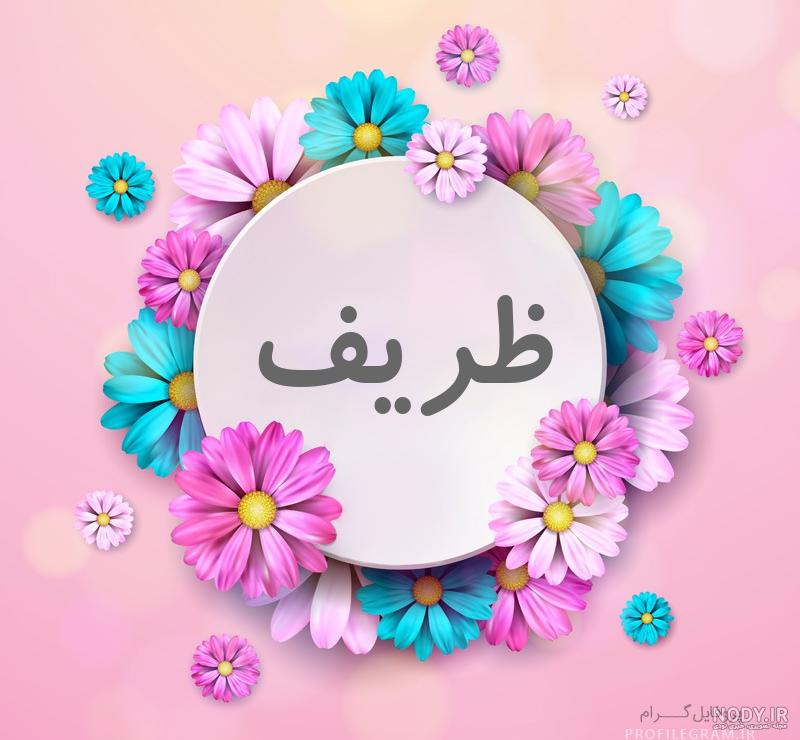 عکس گل زیبا