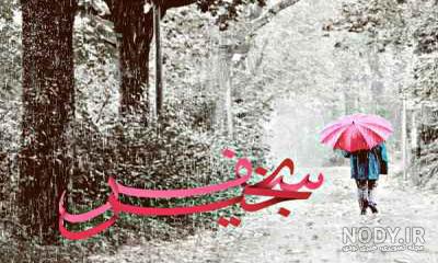 متن زیبا درباره سفر با همسر