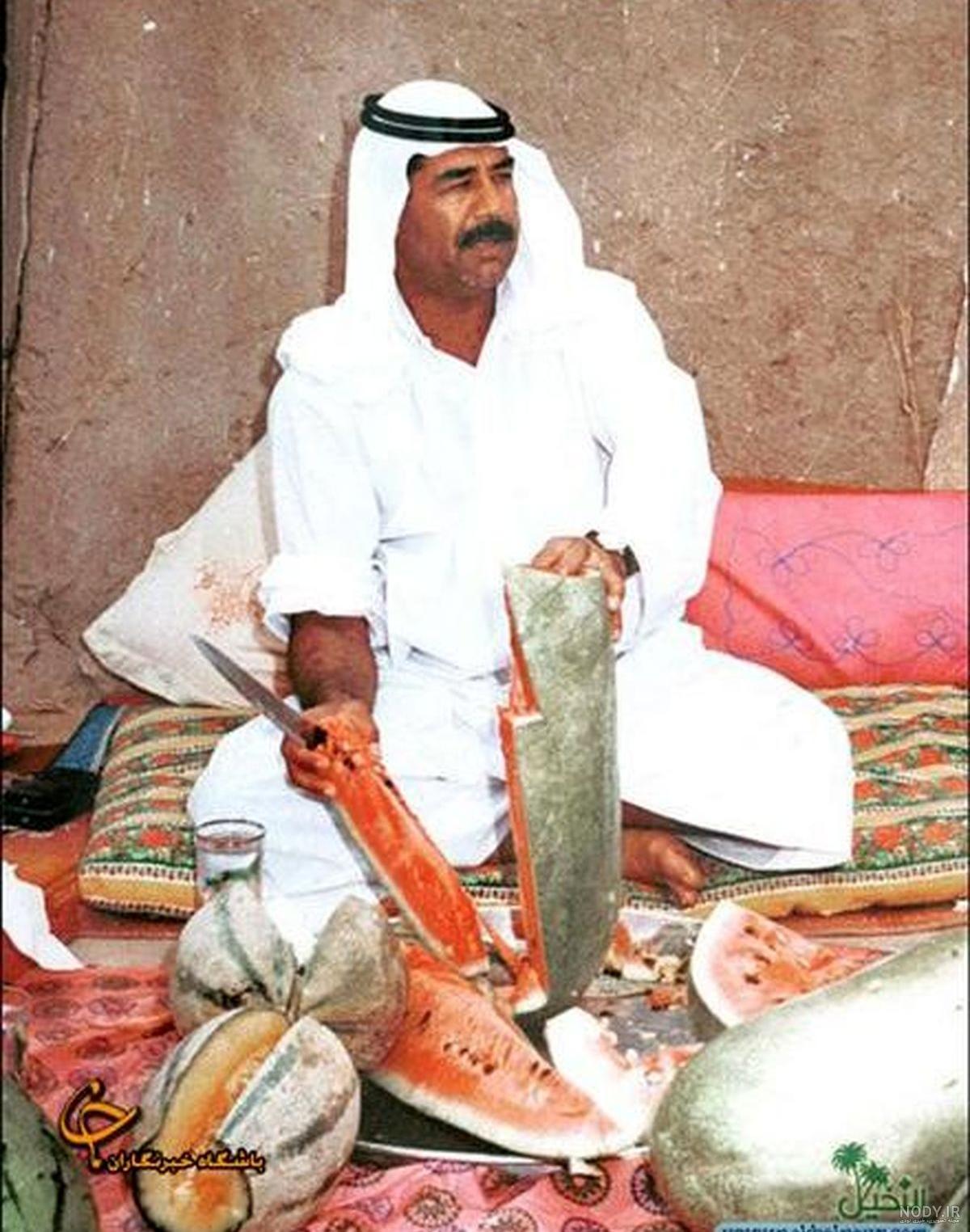نحوه دستگیری صدام نحوه دستگیری صدام