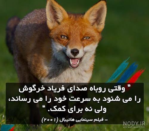 نقاشی روباه واقعی نقاشی روباه واقعی