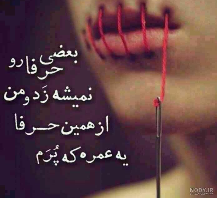 پروفایل سکوت شیر