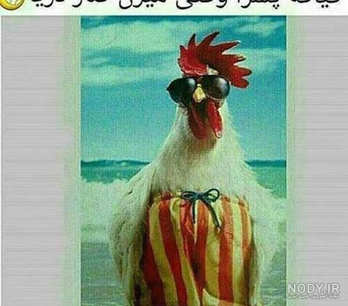 کلیپ ضد حال ترسناک کلیپ ضد حال ترسناک