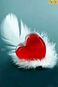 عکس قلب و لاو