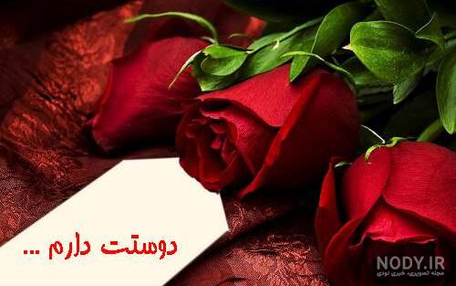 عکس نوشته گل رز قرمز عاشقانه
