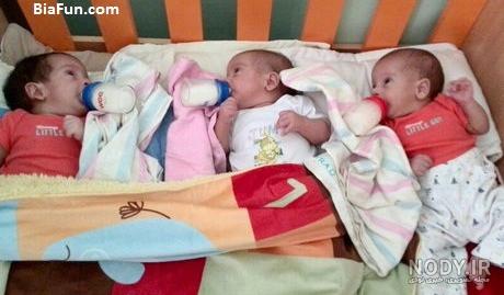 عکس چهار قلو عکس چهار قلو