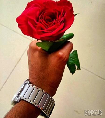 عکس گل رز قرمز عاشقانه