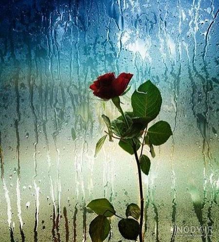  پروفایل باران و دلتنگی