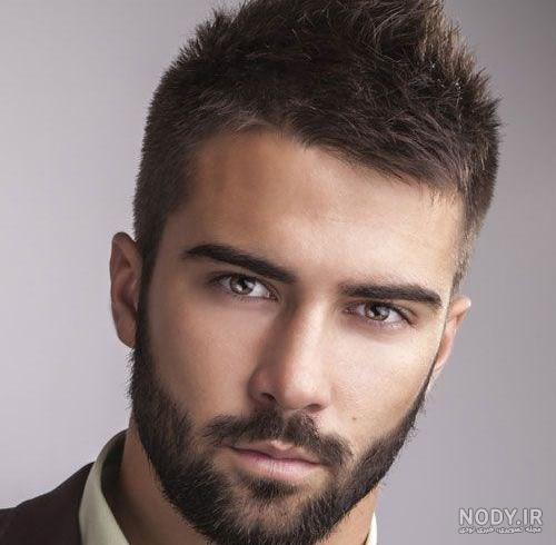 آنکارد ریش با تیغ