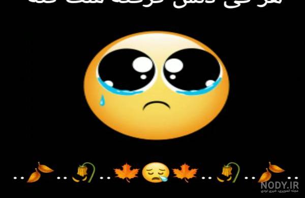 استوری آهنگ غمگین همایون شجریان استوری آهنگ غمگین همایون شجریان
