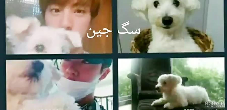 اسم سگ اعضای بی تی اس