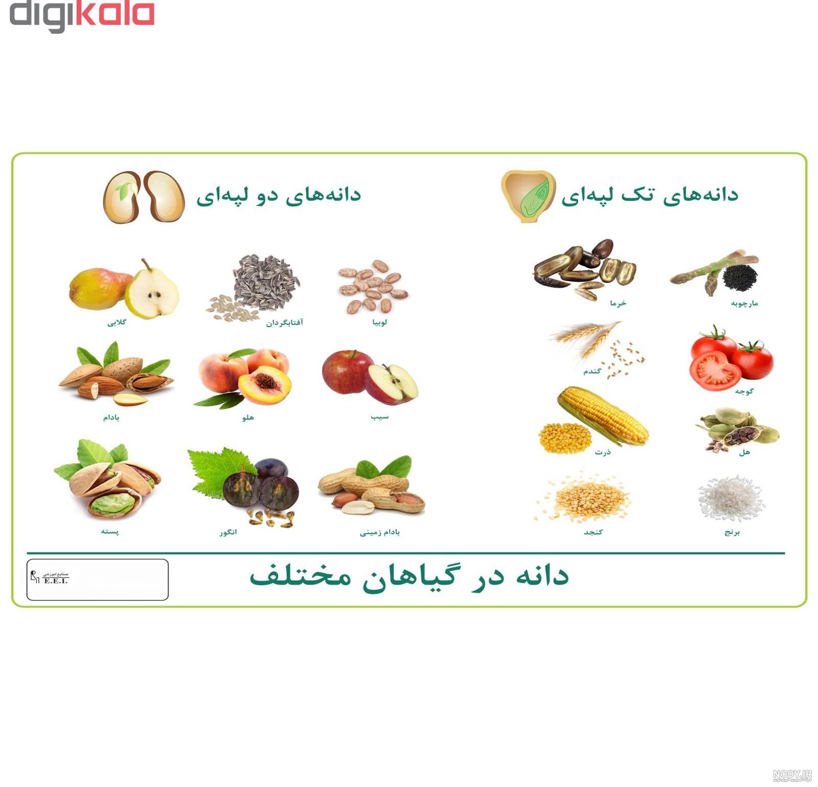برنج چند لپه ای است برنج چند لپه ای است