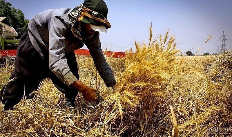تعریف داشت تعریف داشت