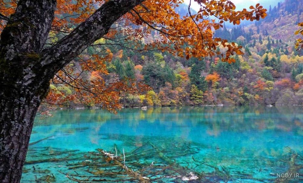 جاهای دیدنی بمبئی جاهای دیدنی بمبئی