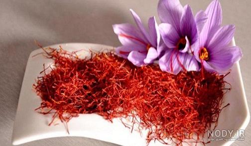 جشنواره زعفران شبکه دو جشنواره زعفران شبکه دو