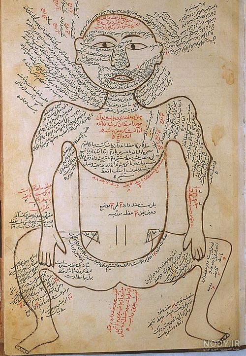 دانلود آموزش طراحی آناتومی بدن انسان
