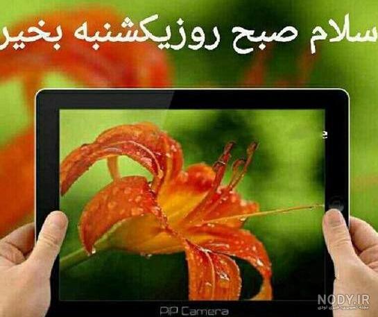 دانلود عکس صبح بخیر روز یکشنبه