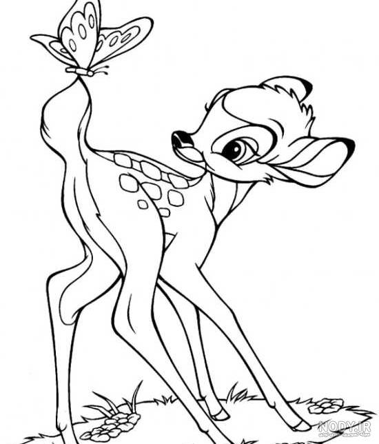 رنگ آمیزی آهو