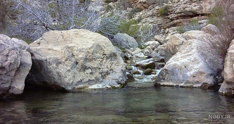 زبان مردم شهرستان نی ریز زبان مردم شهرستان نی ریز