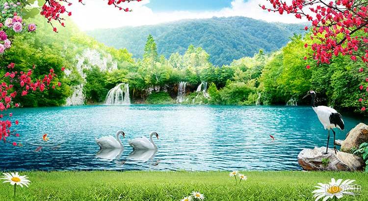زندگی در رامسر نی نی سایت زندگی در رامسر نی نی سایت