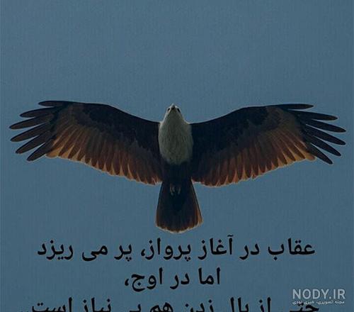 زیستگاه عقاب طلایی در ایران زیستگاه عقاب طلایی در ایران