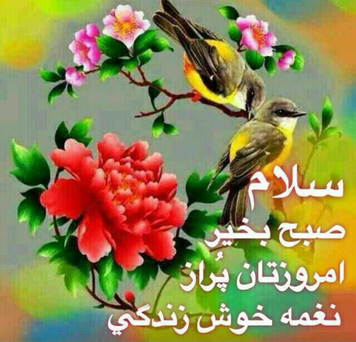 سلام صبح بخیر یکشنبه زمستانی