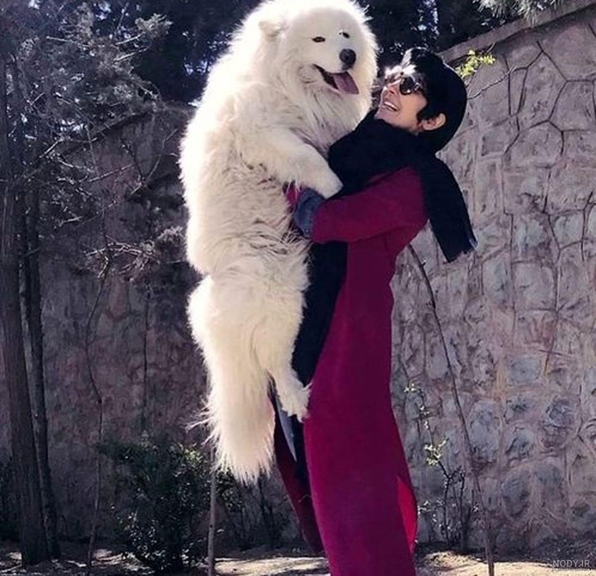 سگ غول پیکر روسیه سگ غول پیکر روسیه