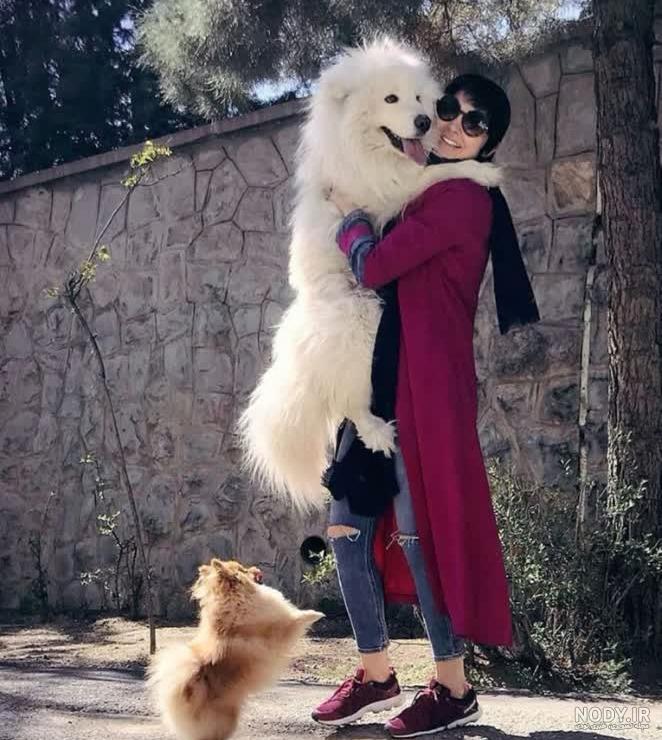 سگ غول پیکر مسی سگ غول پیکر مسی