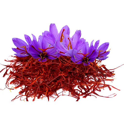 شکل گل زعفران