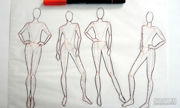 عکس اعضای داخلی بدن انسان با اسم