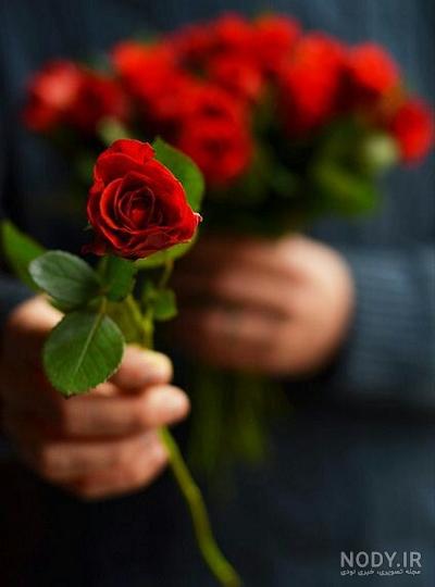 عکس دسته گل تقدیم به شما عکس دسته گل تقدیم به شما