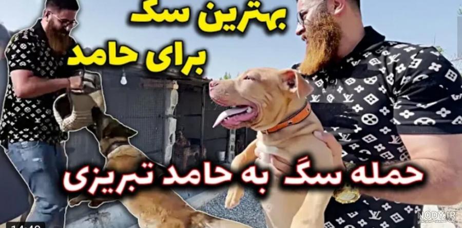 عکس سگ حامد تبریزی عکس سگ حامد تبریزی