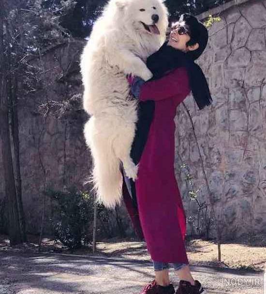 عکس سگ های غول پیکر جهان عکس سگ های غول پیکر جهان