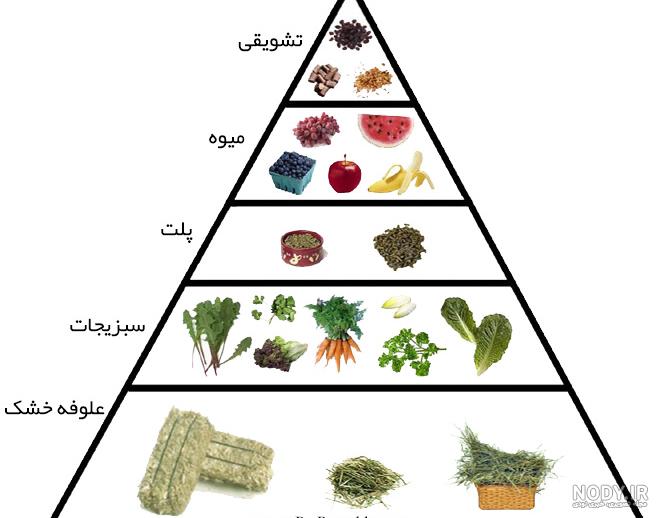 عکس غذاهای خرگوش