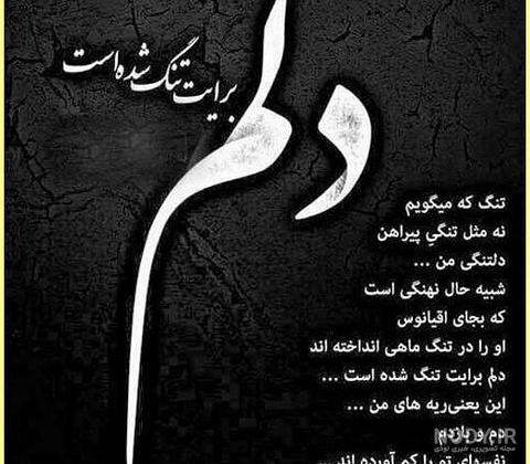 عکس قو برای تصویر زمینه عکس قو برای تصویر زمینه