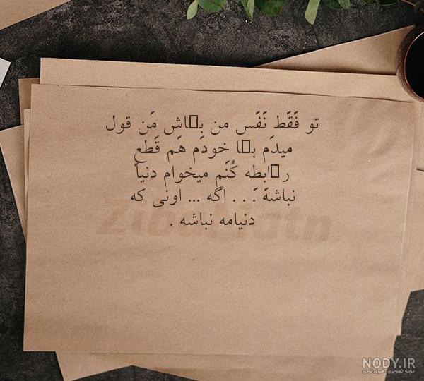 عکس قو سفید زیبا عکس قو سفید زیبا