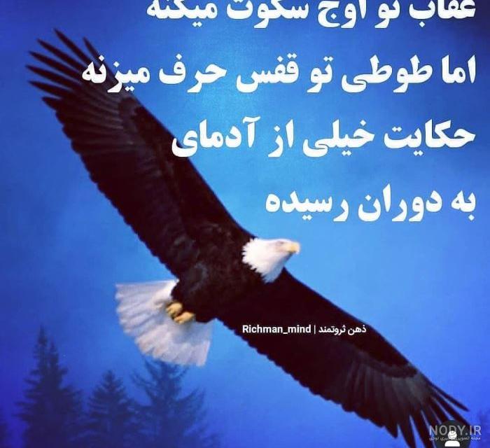 عکس نوشته عقاب مغرور عکس نوشته عقاب مغرور