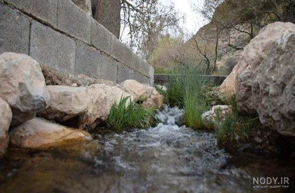 عکس نی ریز عکس نی ریز