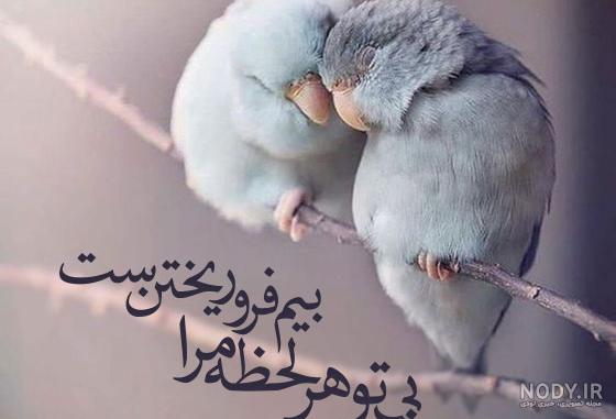 عکس پروفایل بدون متن خاص عکس پروفایل بدون متن خاص