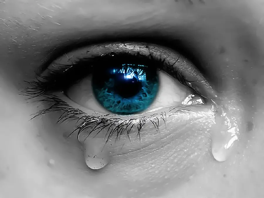 عکس چشم گریون طبیعی