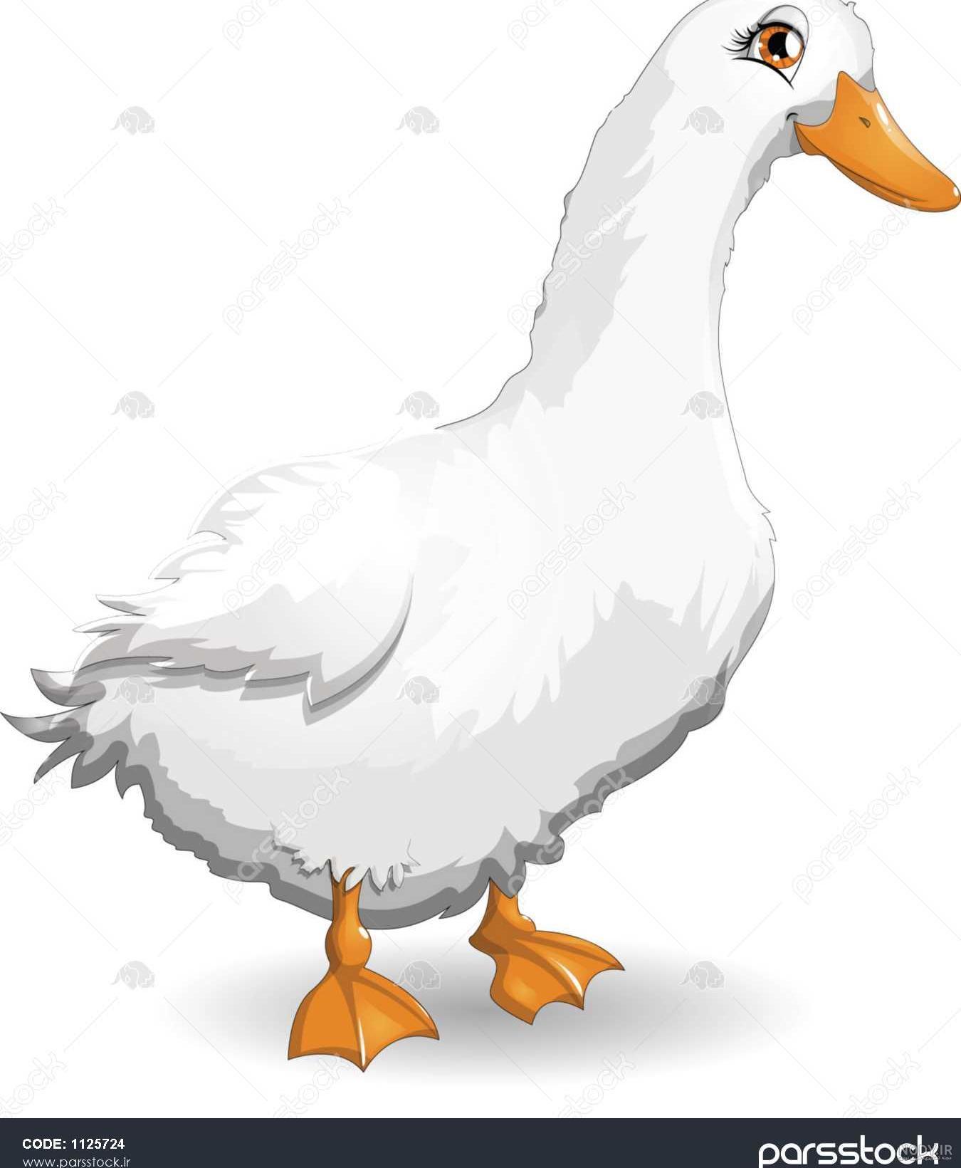 عکس کارتون غاز