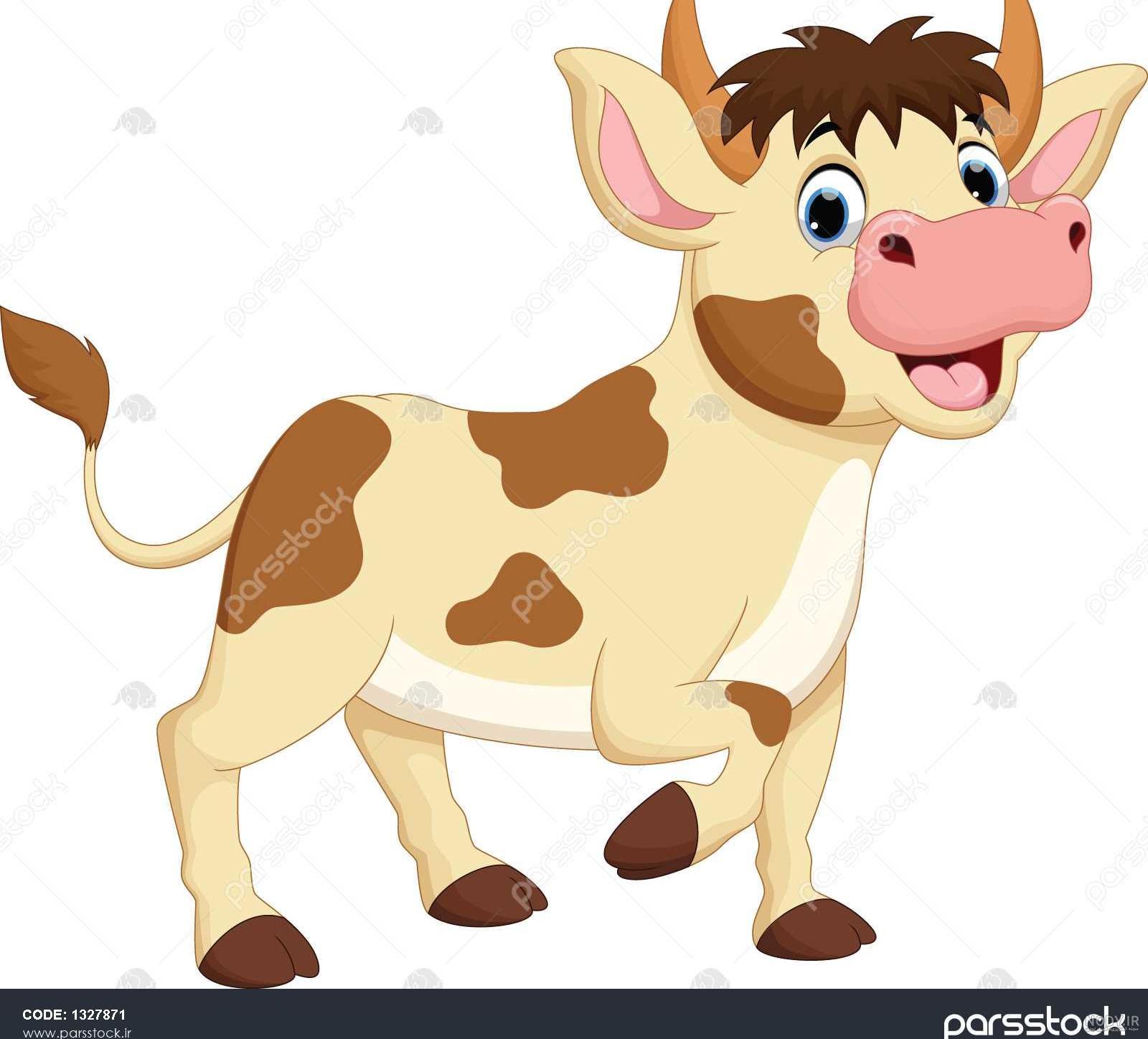 عکس گاو عروسکی عکس گاو عروسکی