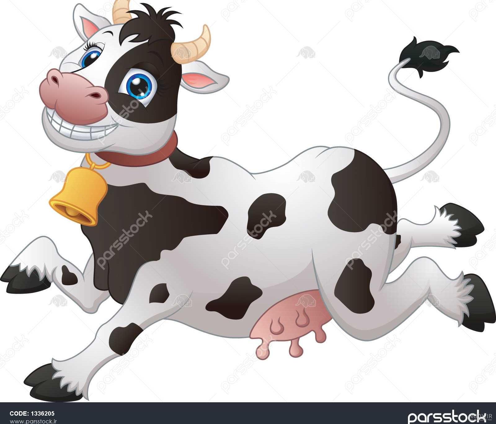 عکس گاو فانتزی عکس گاو فانتزی