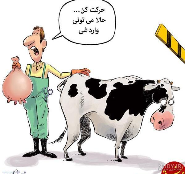 عکس گاو نقاشی عکس گاو نقاشی