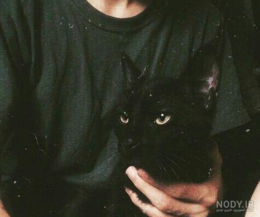 عکس گربه سیاه در دختر کفشدوزکی