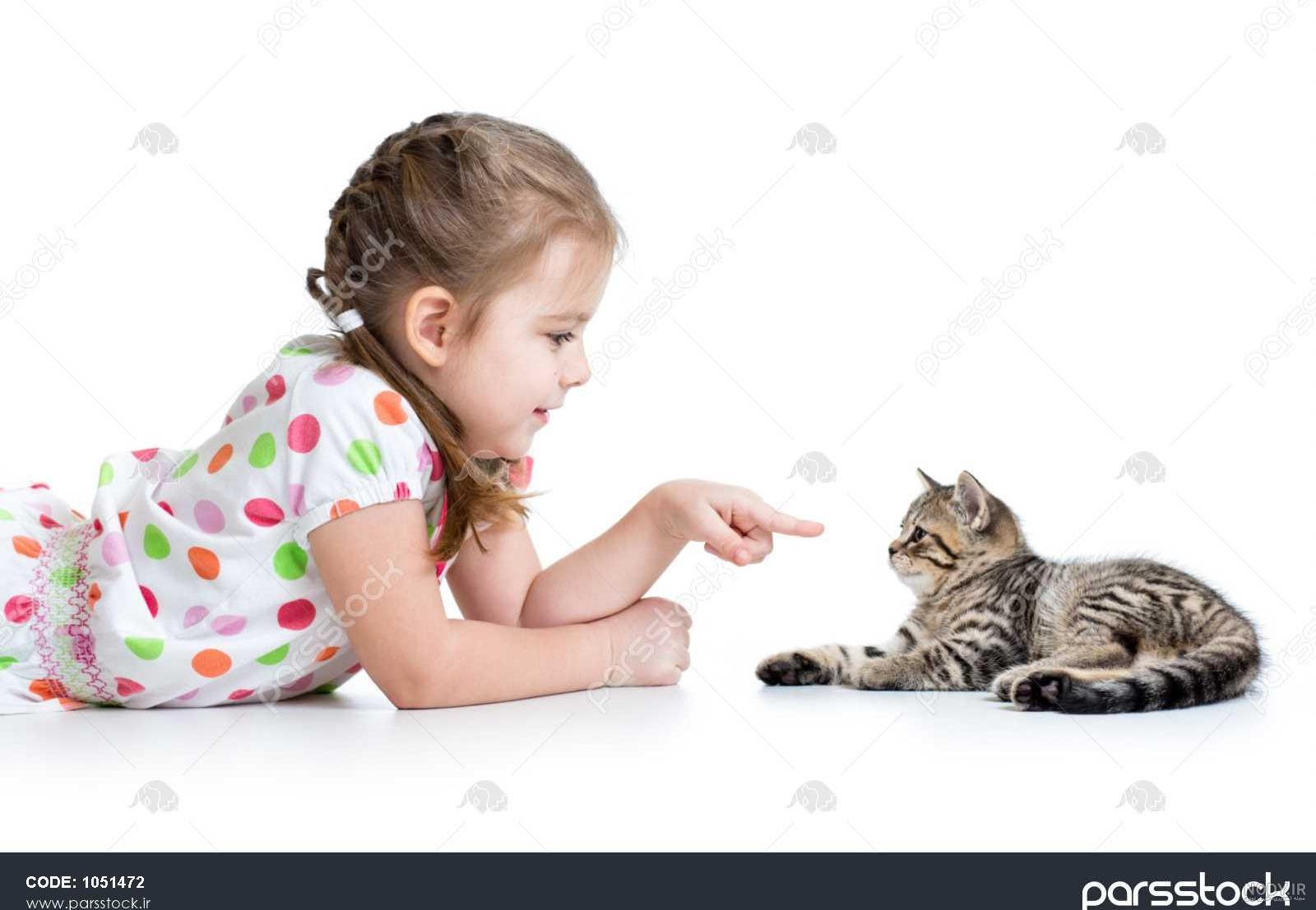 عکس گربه فانتزی عکس گربه فانتزی