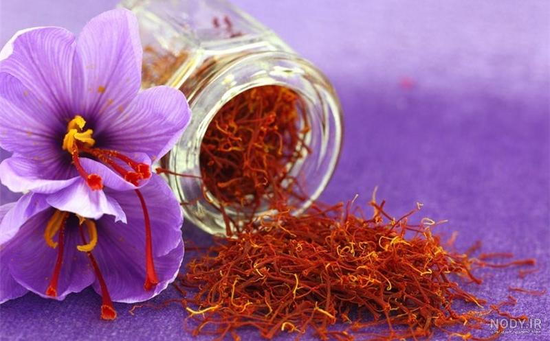 عکس گل زعفران ایرانی عکس گل زعفران ایرانی