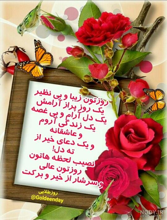 عکس گل طبیعی خانگی عکس گل طبیعی خانگی