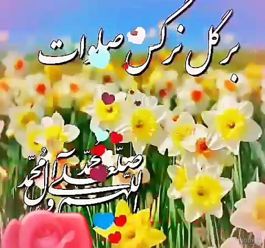 عکس گل نرگس در گلدان