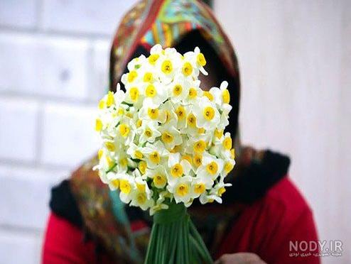 عکس گل نرگس متحرک