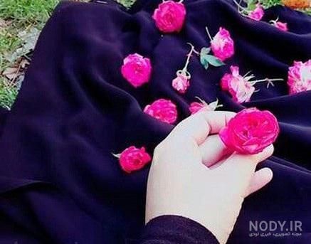عکسهای بسیار زیبا